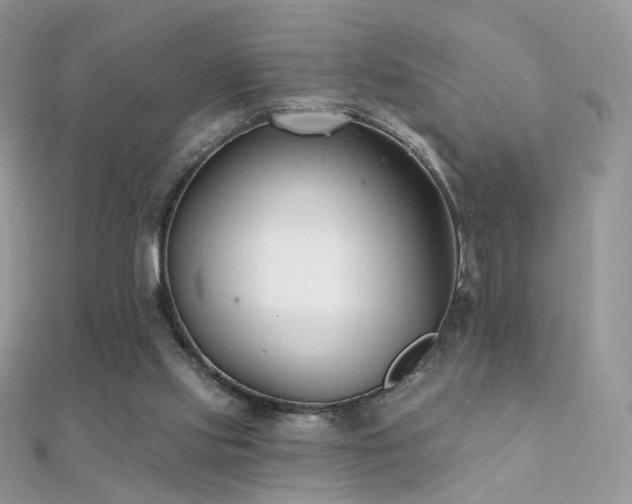 X0000112080061200908111504