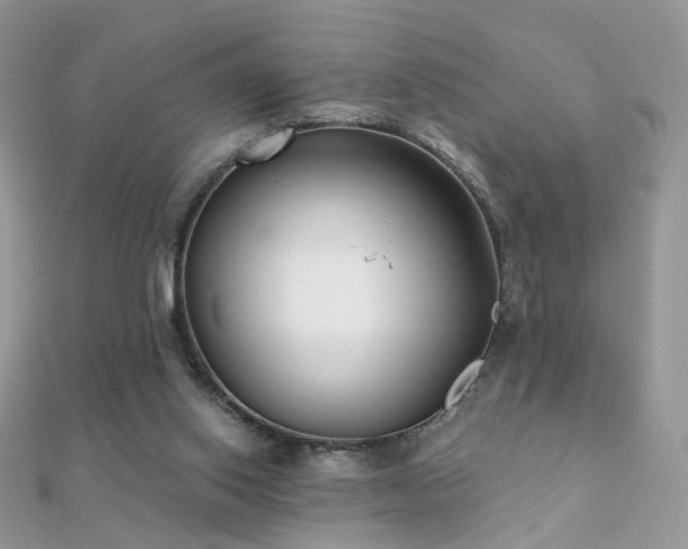 X0000112080062200908111504