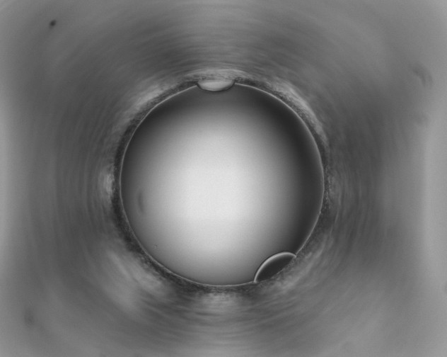 X0000112080063200908111504