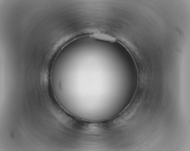X0000112080064200908111504