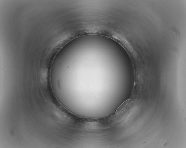 X0000112080066200908111504