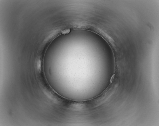 X0000112080067200908111504