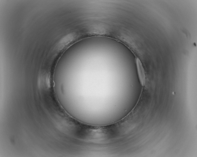 X0000112080068200908111504