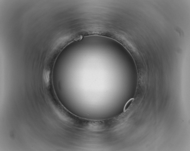 X0000112080070200908111504