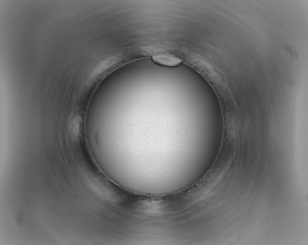 X0000112080071200908111504