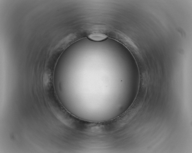 X0000112080073200908111504