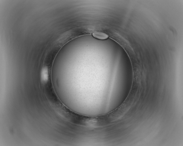 X0000112080075200908111504