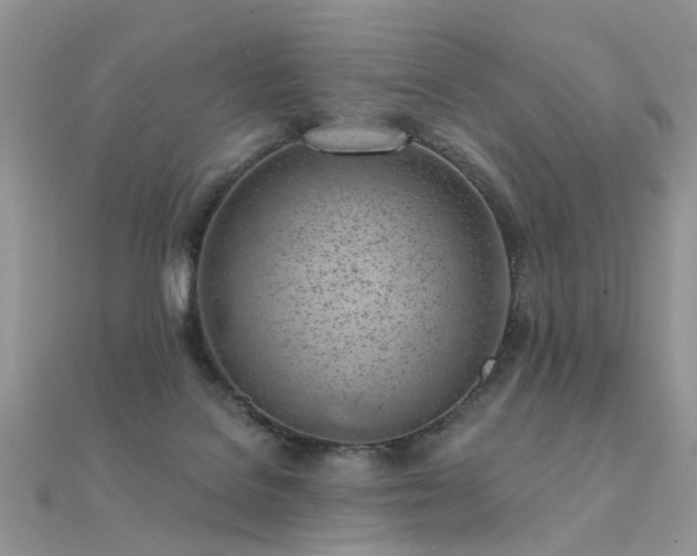 X0000112080076200908111504