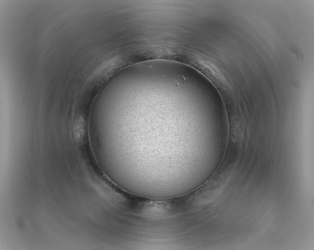 X0000112080077200908111504