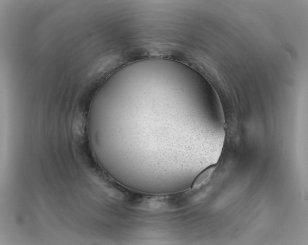 X0000112080078200908111504