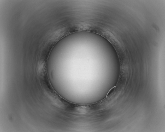 X0000112080079200908111504