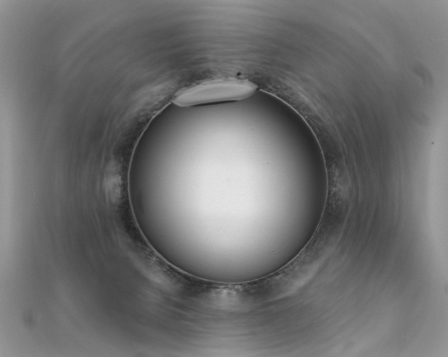 X0000112080080200908111504