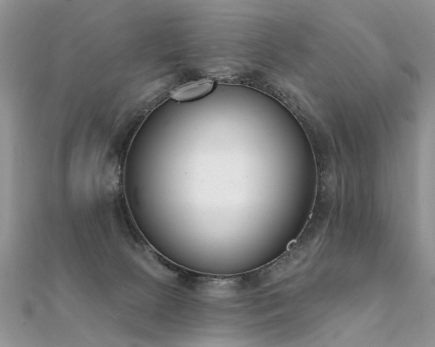 X0000112080081200908111504