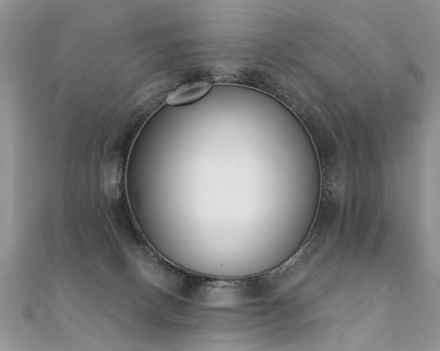 X0000112080082200908111504