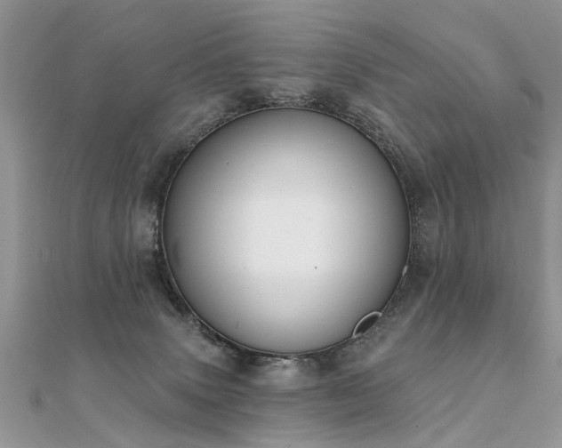 X0000112080083200908111504