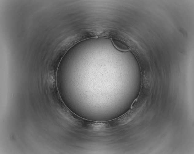 X0000112080085200908111504