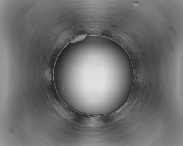 X0000112080086200908111504