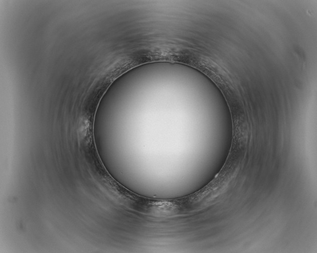 X0000112080087200908111504