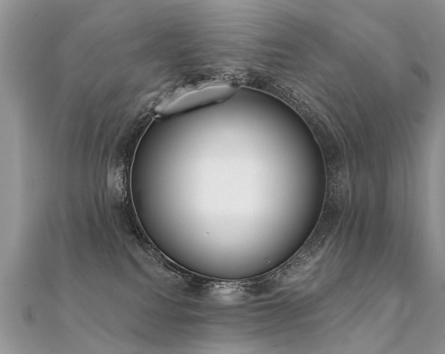 X0000112080088200908111504
