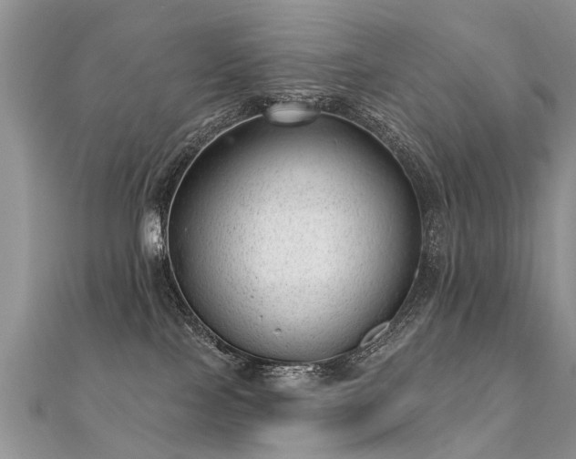 X0000112080089200908111504