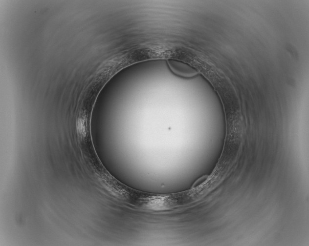 X0000112080090200908111504