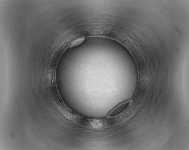 X0000112080091200908111504