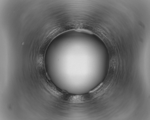 X0000112080092200908111504