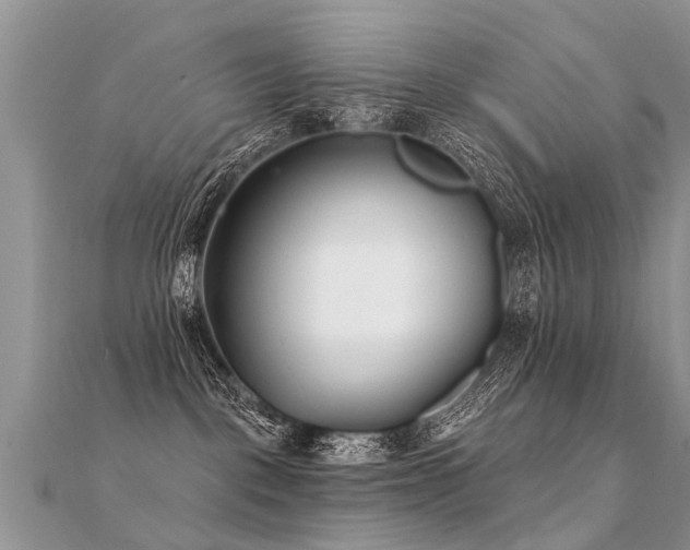 X0000112080093200908111504