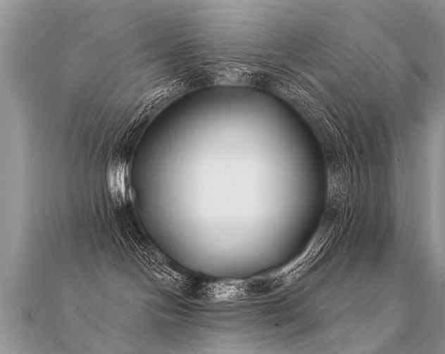 X0000112080094200908111504