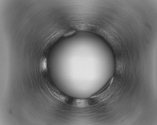 X0000112080095200908111504