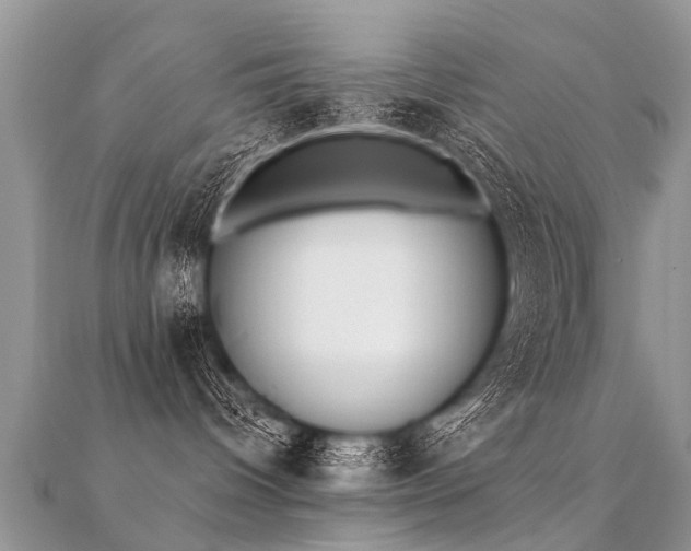X0000112080096200908111504