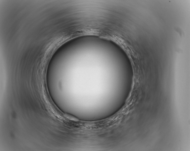 X0000112080097200908111504