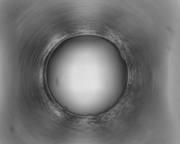 X0000112080098200908111504