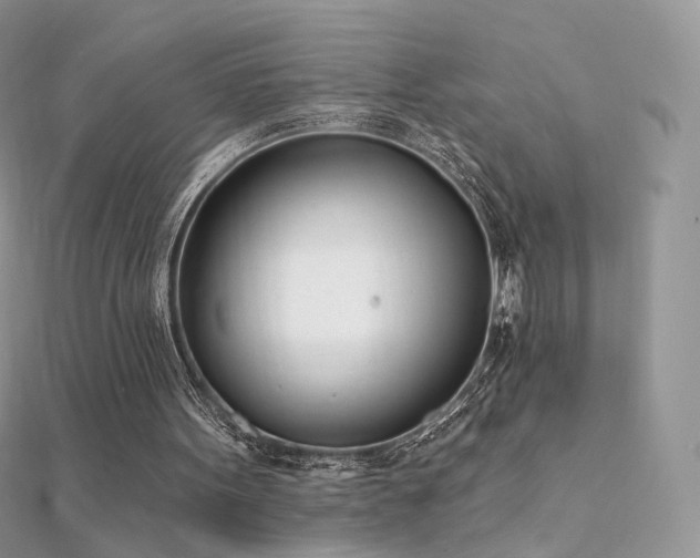 X0000112080099200908111504