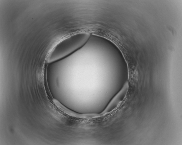 X0000112080100200908111504
