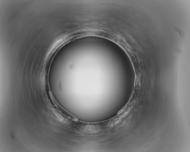 X0000112080101200908111503