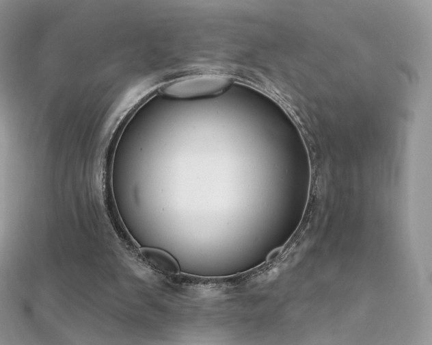 X0000112080103200908111503