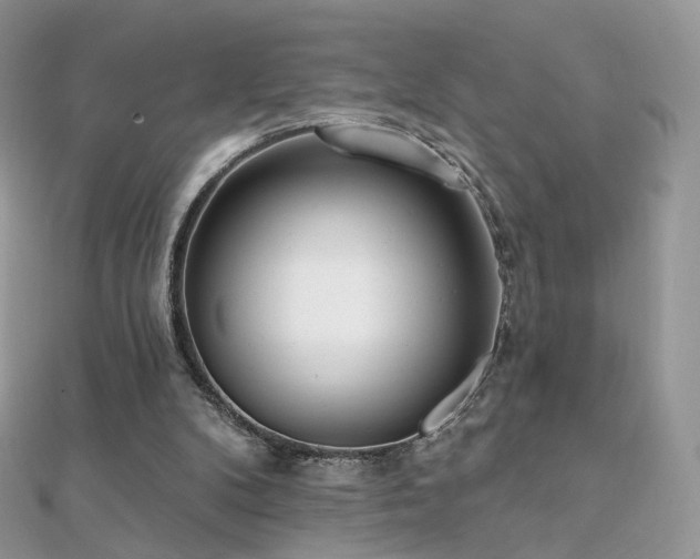 X0000112080104200908111503