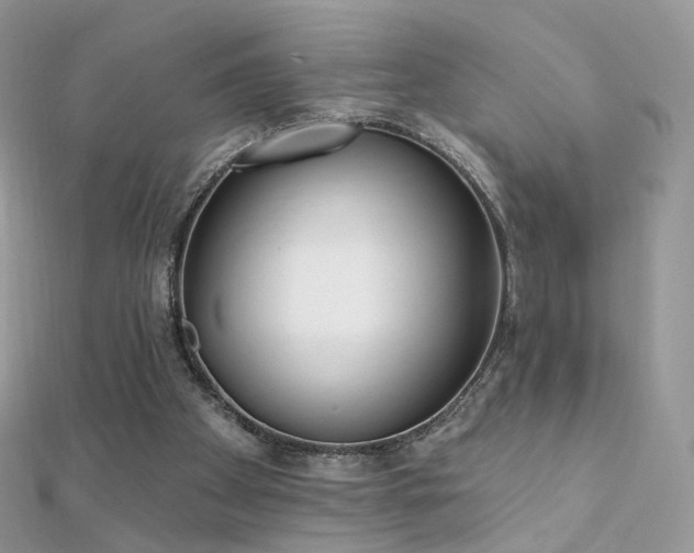 X0000112080105200908111503