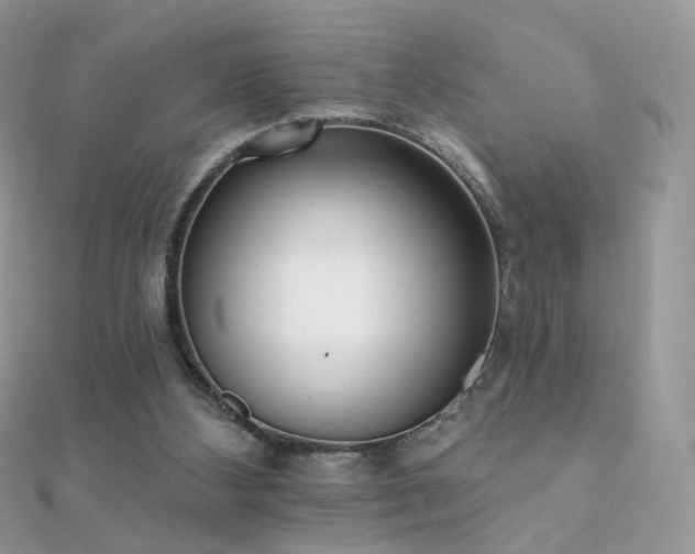 X0000112080108200908111503