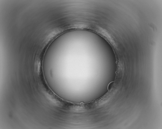 X0000112080110200908111503