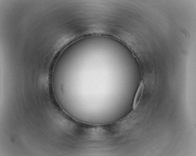 X0000112080112200908111503
