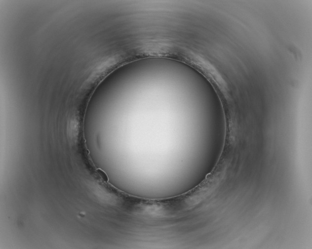 X0000112080113200908111503