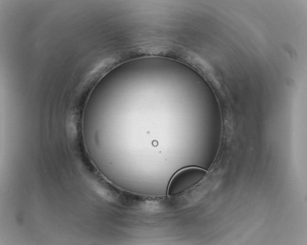X0000112080114200908111503