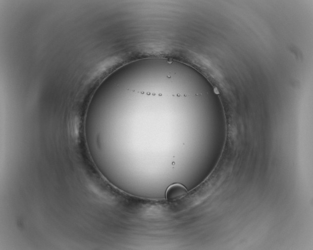 X0000112080115200908111503