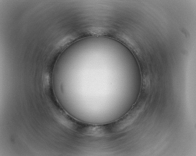 X0000112080117200908111503