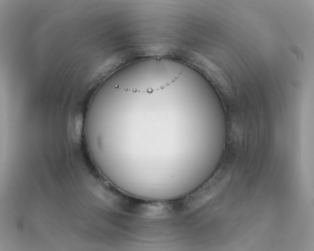 X0000112080118200908111503