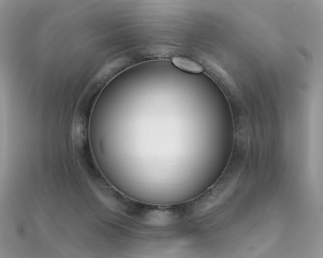 X0000112080119200908111503