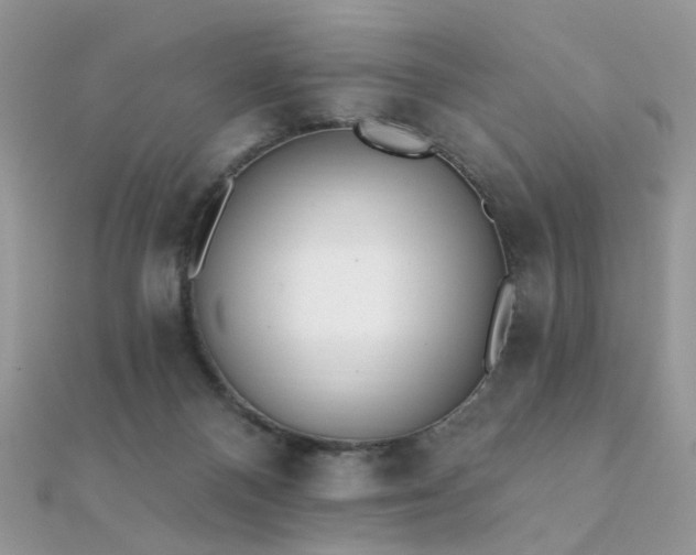 X0000112080120200908111503