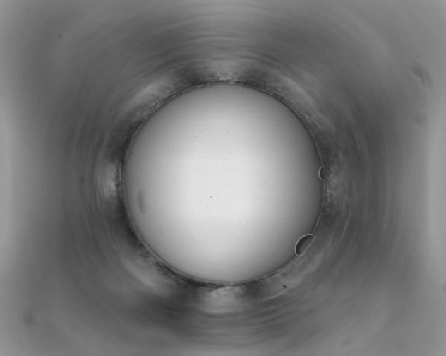 X0000112080122200908111503